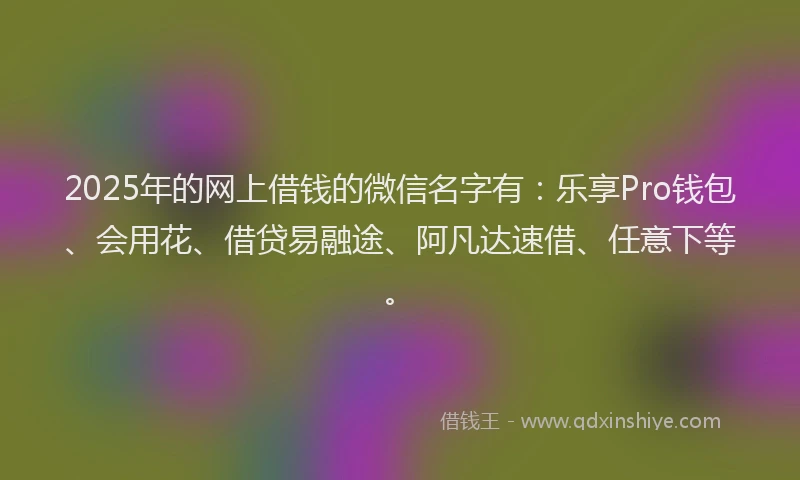 2025年的网上借钱的微信名字有：乐享Pro钱包、会用花、借贷易融途、阿凡达速借、任意下等。