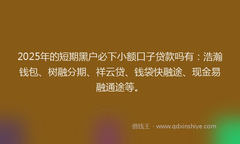 2025年的短期黑户必下小额口子贷款吗有：浩瀚钱包、树融分期、祥云贷、钱袋快融途、现金易融通途等。