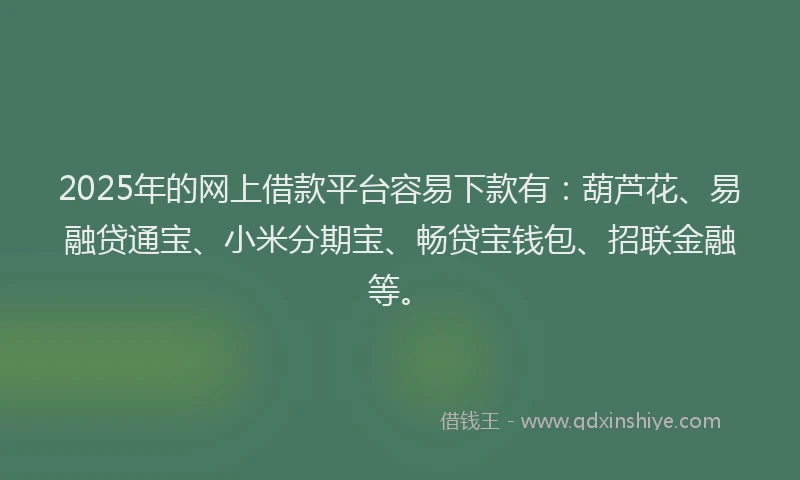 2025年的网上借款平台容易下款有：葫芦花、易融贷通宝、小米分期宝、畅贷宝钱包、招联金融等。