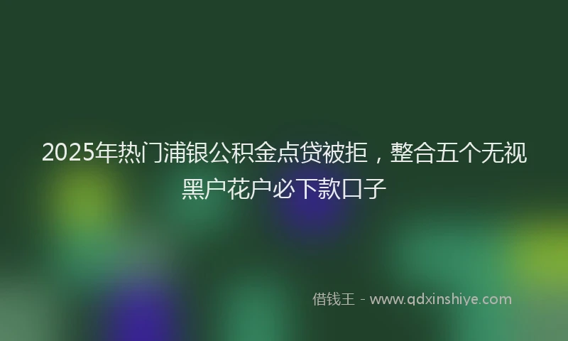 2025年热门浦银公积金点贷被拒，整合五个无视黑户花户必下款口子