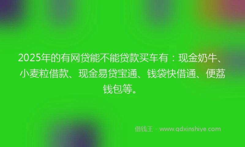 2025年的有网贷能不能贷款买车有：现金奶牛、小麦粒借款、现金易贷宝通、钱袋快借通、便荔钱包等。