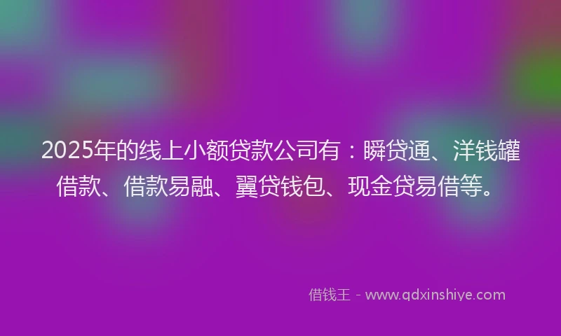 2025年的线上小额贷款公司有：瞬贷通、洋钱罐借款、借款易融、翼贷钱包、现金贷易借等。