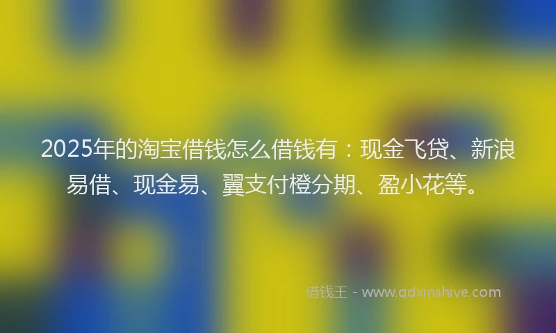 2025年的淘宝借钱怎么借钱有：现金飞贷、新浪易借、现金易、翼支付橙分期、盈小花等。