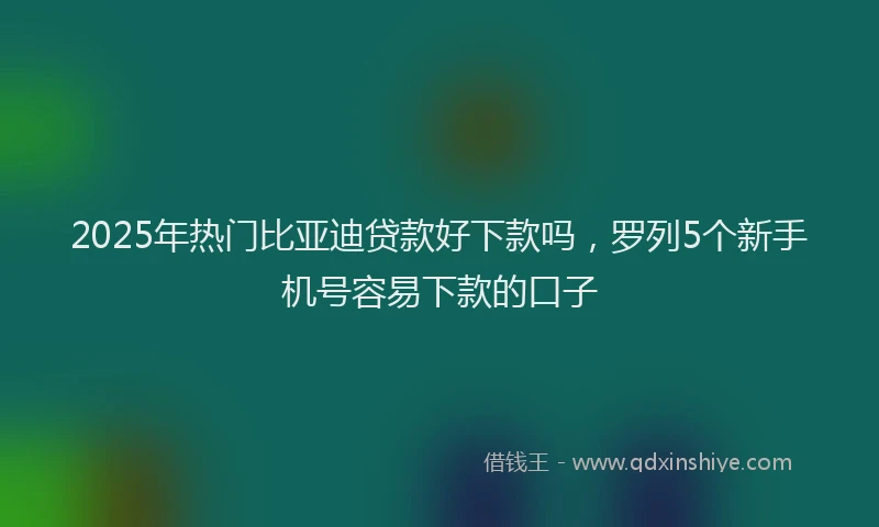 2025年热门比亚迪贷款好下款吗，罗列5个新手机号容易下款的口子