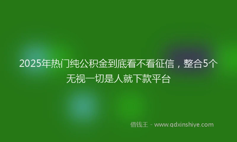 2025年热门纯公积金到底看不看征信，整合5个无视一切是人就下款平台