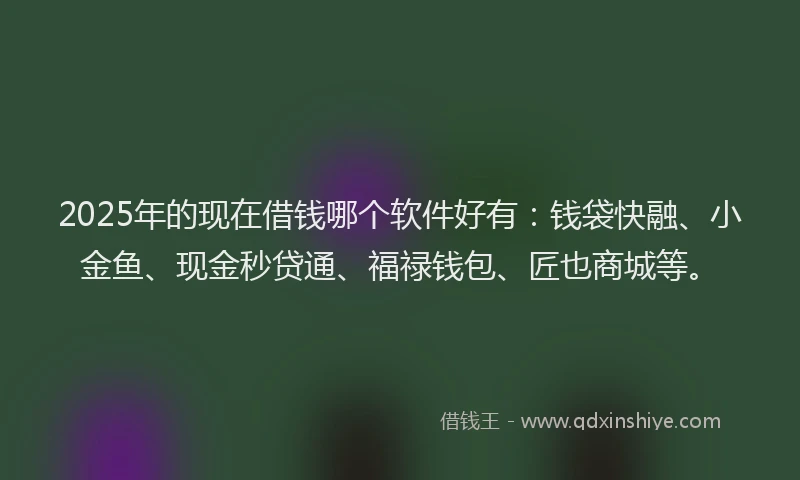 2025年的现在借钱哪个软件好有：钱袋快融、小金鱼、现金秒贷通、福禄钱包、匠也商城等。