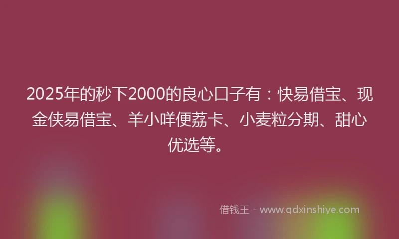 2025年的秒下2000的良心口子有：快易借宝、现金侠易借宝、羊小咩便荔卡、小麦粒分期、甜心优选等。
