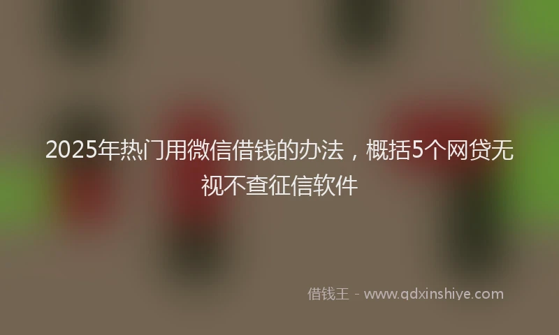 2025年热门用微信借钱的办法，概括5个网贷无视不查征信软件