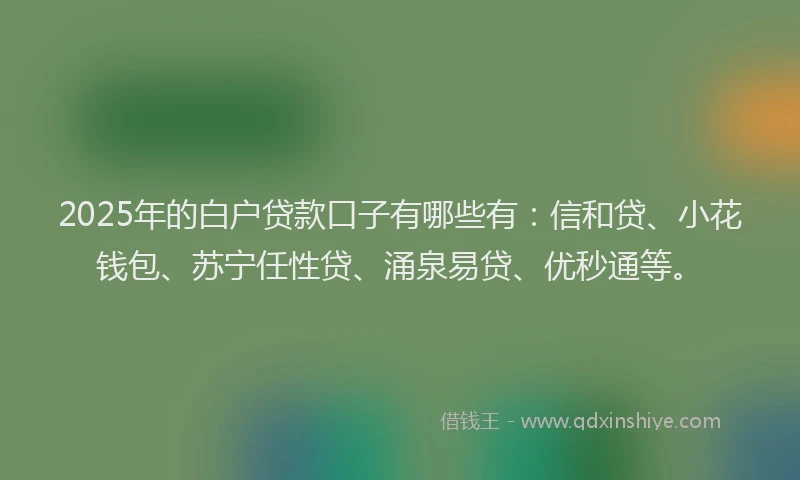 2025年的白户贷款口子有哪些有：信和贷、小花钱包、苏宁任性贷、涌泉易贷、优秒通等。