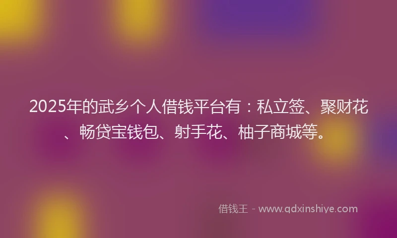 2025年的武乡个人借钱平台有：私立签、聚财花、畅贷宝钱包、射手花、柚子商城等。
