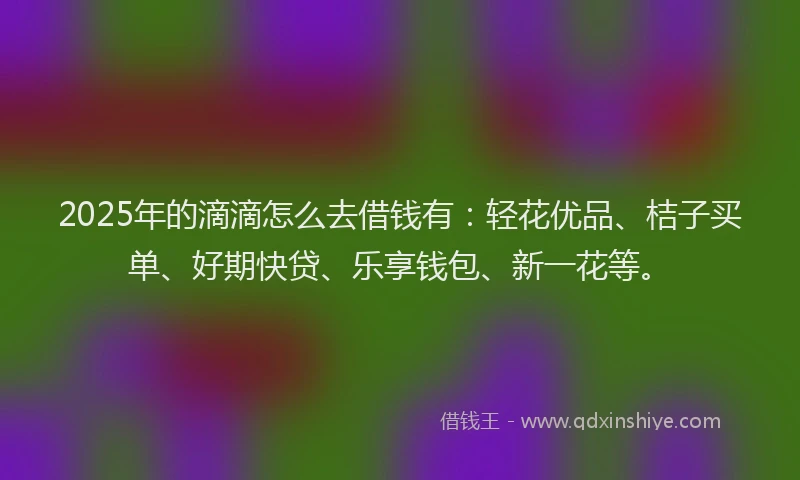 2025年的滴滴怎么去借钱有：轻花优品、桔子买单、好期快贷、乐享钱包、新一花等。