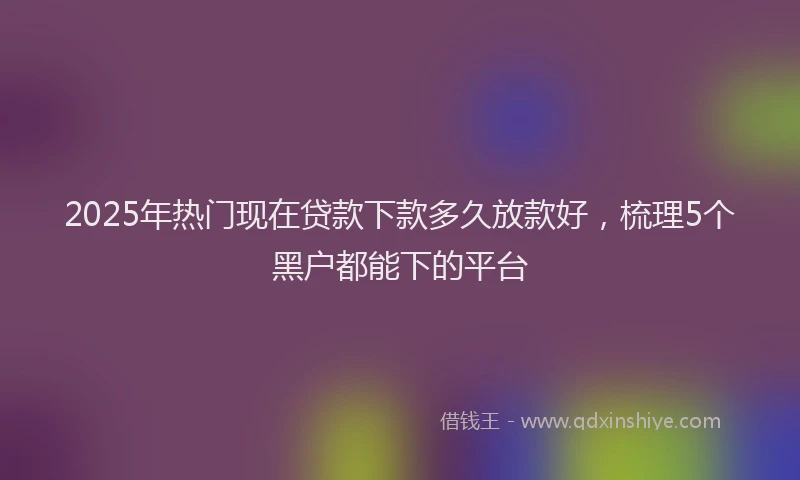 2025年热门现在贷款下款多久放款好，梳理5个黑户都能下的平台