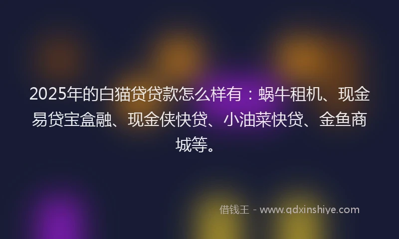 2025年的白猫贷贷款怎么样有：蜗牛租机、现金易贷宝盒融、现金侠快贷、小油菜快贷、金鱼商城等。