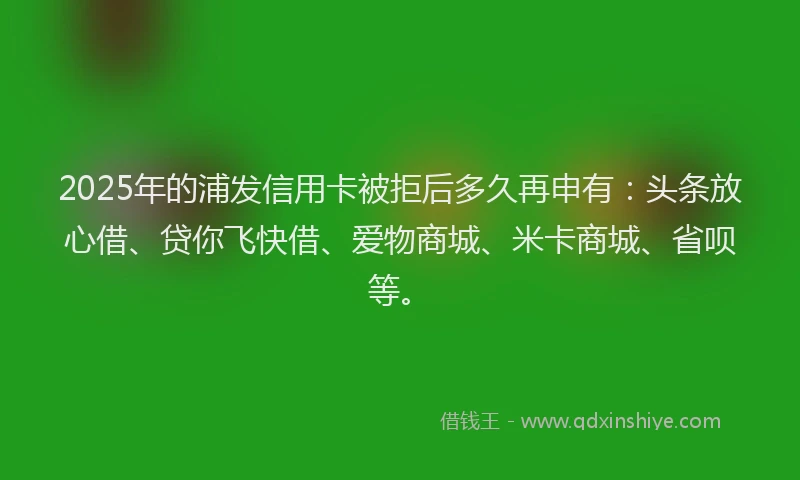 2025年的浦发信用卡被拒后多久再申有：头条放心借、贷你飞快借、爱物商城、米卡商城、省呗等。