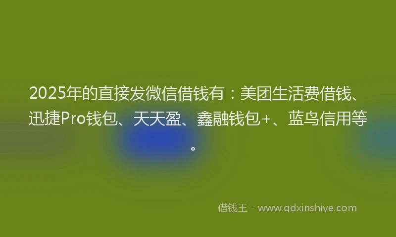2025年的直接发微信借钱有：美团生活费借钱、迅捷Pro钱包、天天盈、鑫融钱包+、蓝鸟信用等。