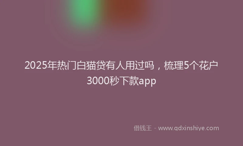 2025年热门白猫贷有人用过吗，梳理5个花户3000秒下款app