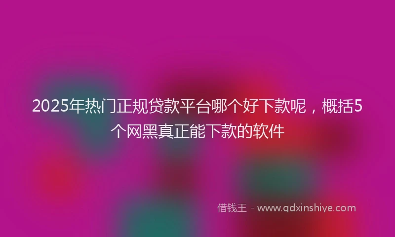 2025年热门正规贷款平台哪个好下款呢，概括5个网黑真正能下款的软件