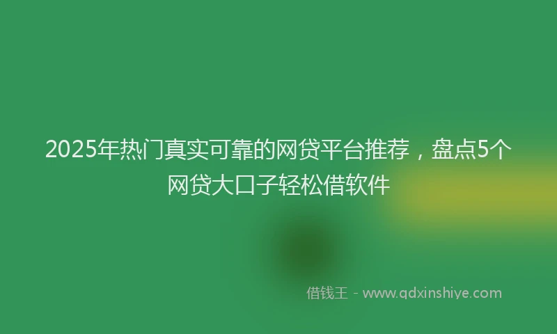 2025年热门真实可靠的网贷平台推荐，盘点5个网贷大口子轻松借软件