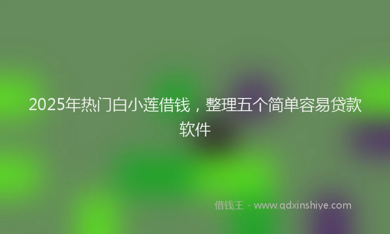 2025年热门白小莲借钱，整理五个简单容易贷款软件
