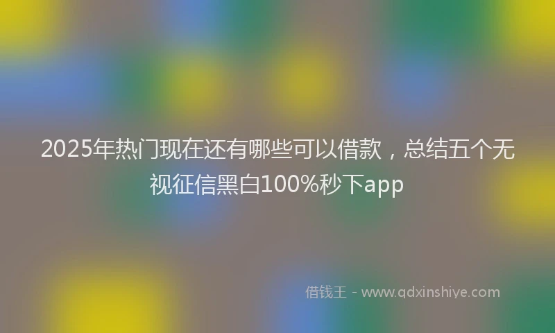 2025年热门现在还有哪些可以借款，总结五个无视征信黑白100%秒下app