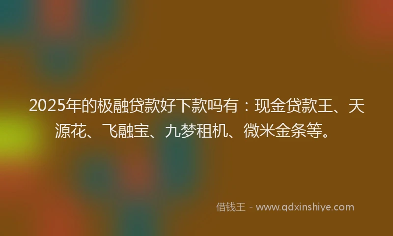 2025年的极融贷款好下款吗有：现金贷款王、天源花、飞融宝、九梦租机、微米金条等。