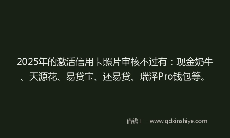 2025年的激活信用卡照片审核不过有：现金奶牛、天源花、易贷宝、还易贷、瑞泽Pro钱包等。