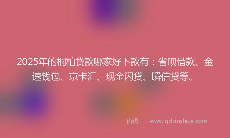 2025年的桐柏贷款哪家好下款有：省呗借款、金速钱包、京卡汇、现金闪贷、瞬信贷等。