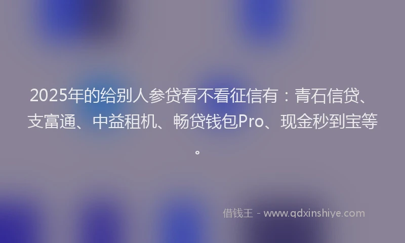 2025年的给别人参贷看不看征信有：青石信贷、支富通、中益租机、畅贷钱包Pro、现金秒到宝等。