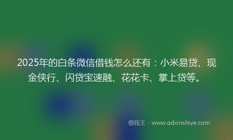 2025年的白条微信借钱怎么还有：小米易贷、现金侠行、闪贷宝速融、花花卡、掌上贷等。