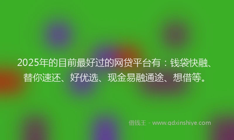 2025年的目前最好过的网贷平台有：钱袋快融、替你速还、好优选、现金易融通途、想借等。