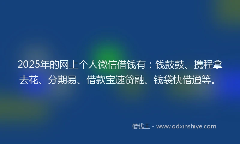 2025年的网上个人微信借钱有：钱鼓鼓、携程拿去花、分期易、借款宝速贷融、钱袋快借通等。