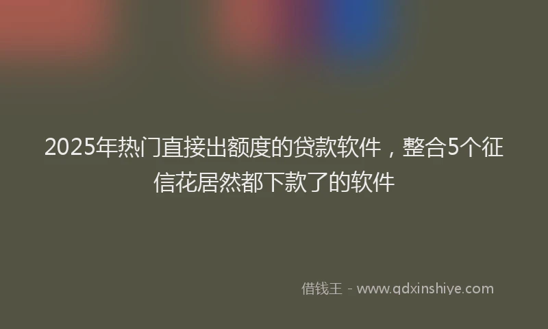 2025年热门直接出额度的贷款软件，整合5个征信花居然都下款了的软件