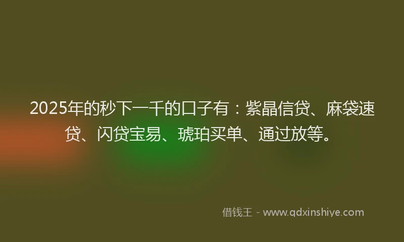 2025年的秒下一千的口子有：紫晶信贷、麻袋速贷、闪贷宝易、琥珀买单、通过放等。