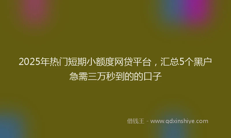 2025年热门短期小额度网贷平台，汇总5个黑户急需三万秒到的的口子