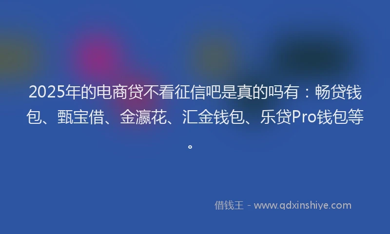 2025年的电商贷不看征信吧是真的吗有：畅贷钱包、甄宝借、金瀛花、汇金钱包、乐贷Pro钱包等。