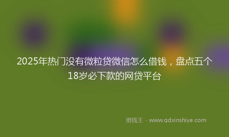 2025年热门没有微粒贷微信怎么借钱，盘点五个18岁必下款的网贷平台