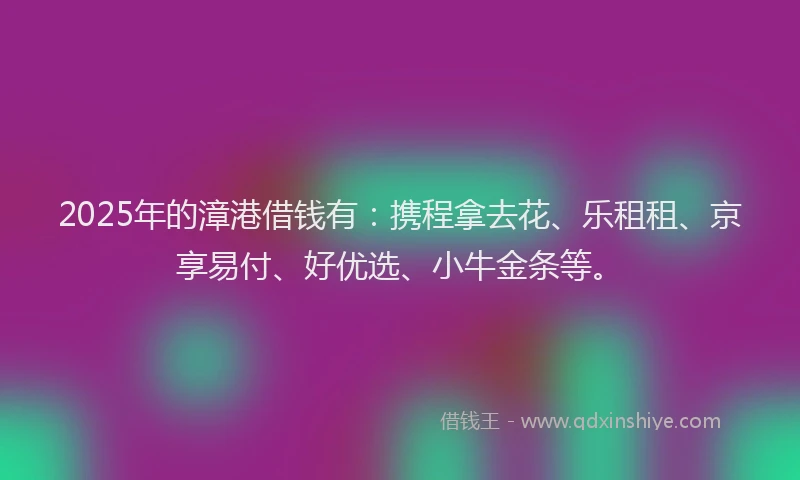2025年的漳港借钱有：携程拿去花、乐租租、京享易付、好优选、小牛金条等。