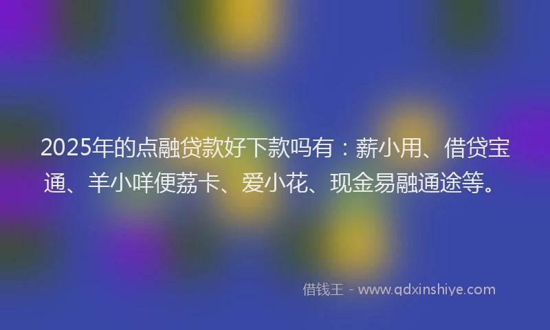 2025年的点融贷款好下款吗有：薪小用、借贷宝通、羊小咩便荔卡、爱小花、现金易融通途等。
