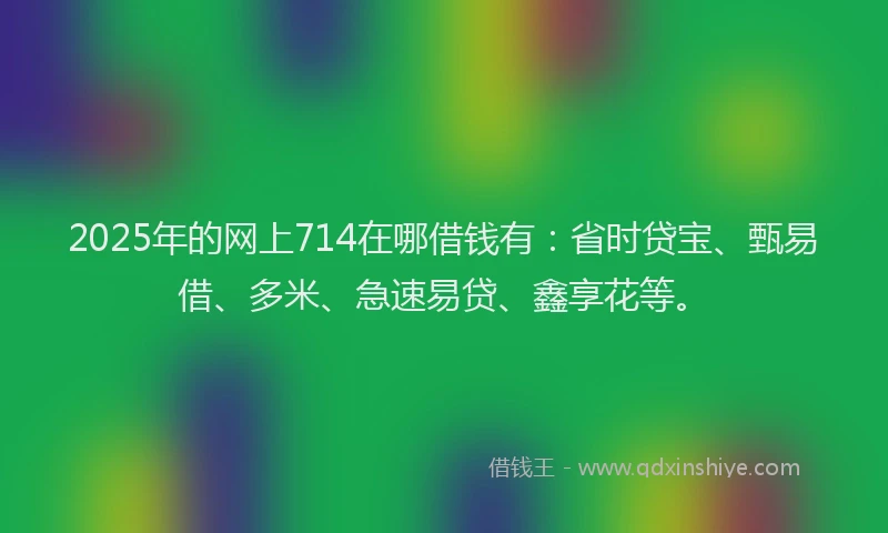 2025年的网上714在哪借钱有：省时贷宝、甄易借、多米、急速易贷、鑫享花等。
