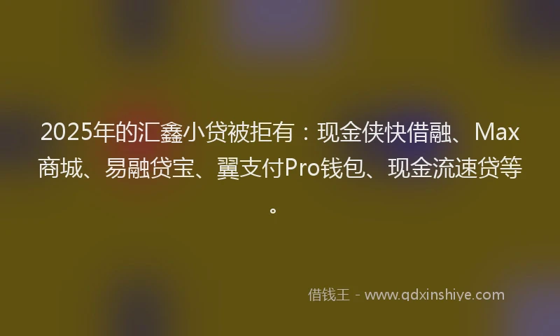 2025年的汇鑫小贷被拒有：现金侠快借融、Max商城、易融贷宝、翼支付Pro钱包、现金流速贷等。