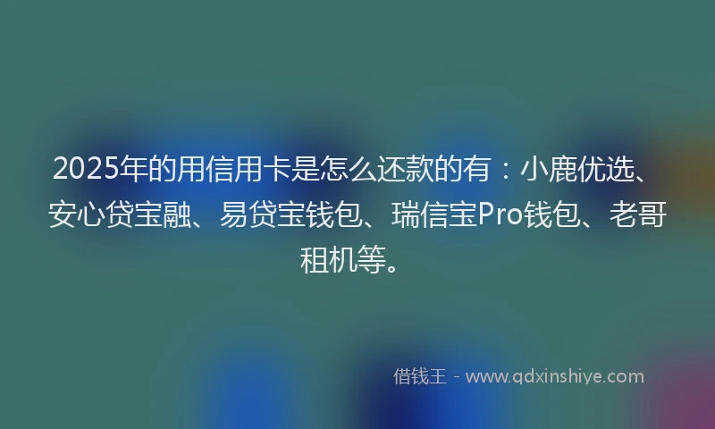 2025年的用信用卡是怎么还款的有：小鹿优选、安心贷宝融、易贷宝钱包、瑞信宝Pro钱包、老哥租机等。