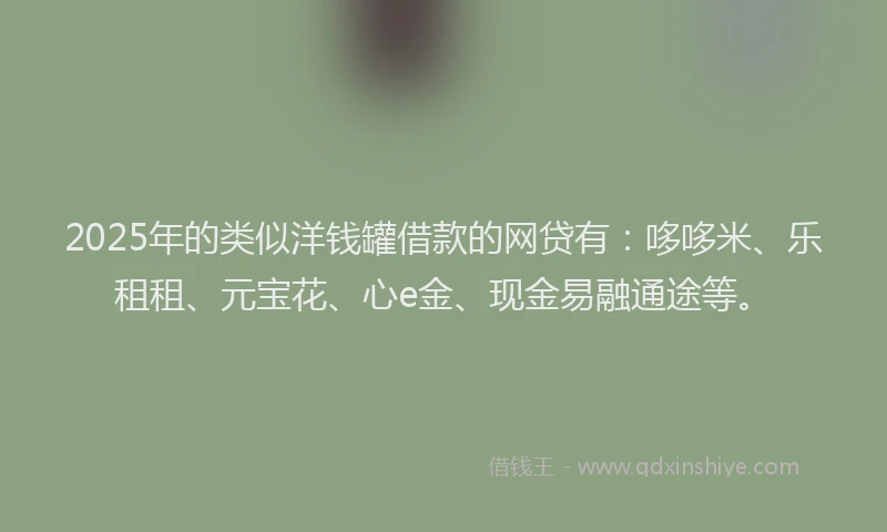 2025年的类似洋钱罐借款的网贷有：哆哆米、乐租租、元宝花、心e金、现金易融通途等。