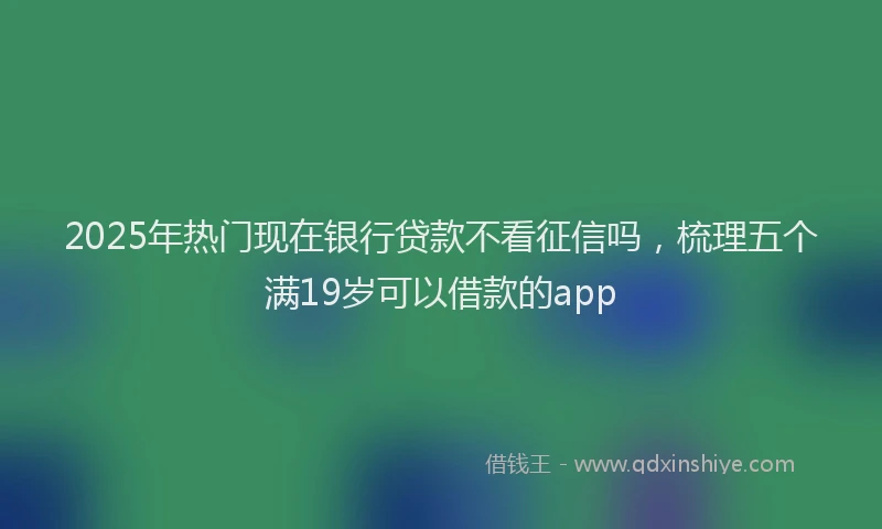 2025年热门现在银行贷款不看征信吗，梳理五个满19岁可以借款的app
