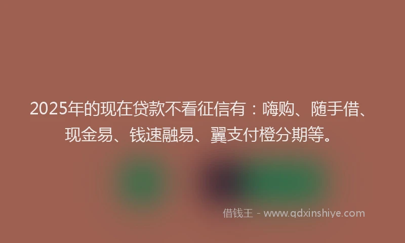 2025年的现在贷款不看征信有：嗨购、随手借、现金易、钱速融易、翼支付橙分期等。