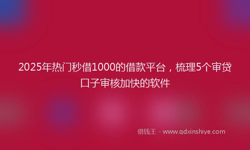 2025年热门秒借1000的借款平台，梳理5个审贷口子审核加快的软件
