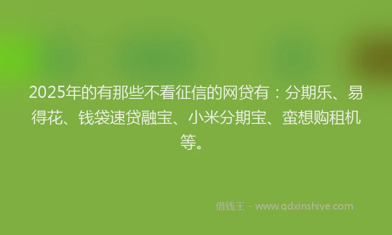 2025年的有那些不看征信的网贷有：分期乐、易得花、钱袋速贷融宝、小米分期宝、蛮想购租机等。