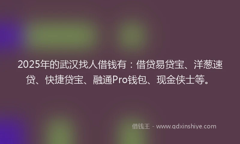 2025年的武汉找人借钱有：借贷易贷宝、洋葱速贷、快捷贷宝、融通Pro钱包、现金侠士等。