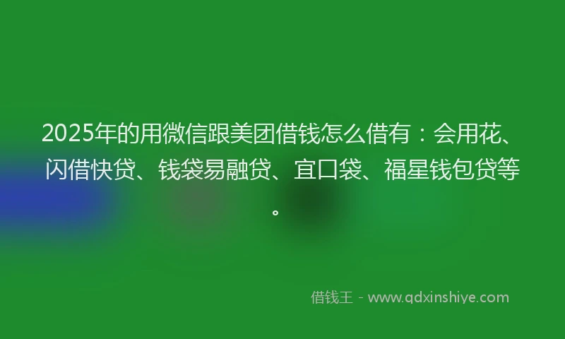 2025年的用微信跟美团借钱怎么借有：会用花、闪借快贷、钱袋易融贷、宜口袋、福星钱包贷等。