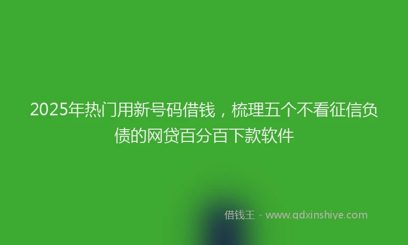 2025年热门用新号码借钱，梳理五个不看征信负债的网贷百分百下款软件