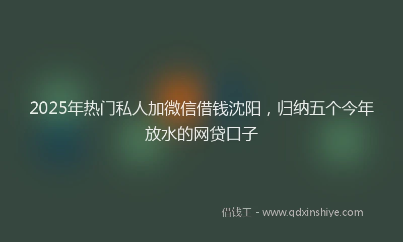 2025年热门私人加微信借钱沈阳，归纳五个今年放水的网贷口子